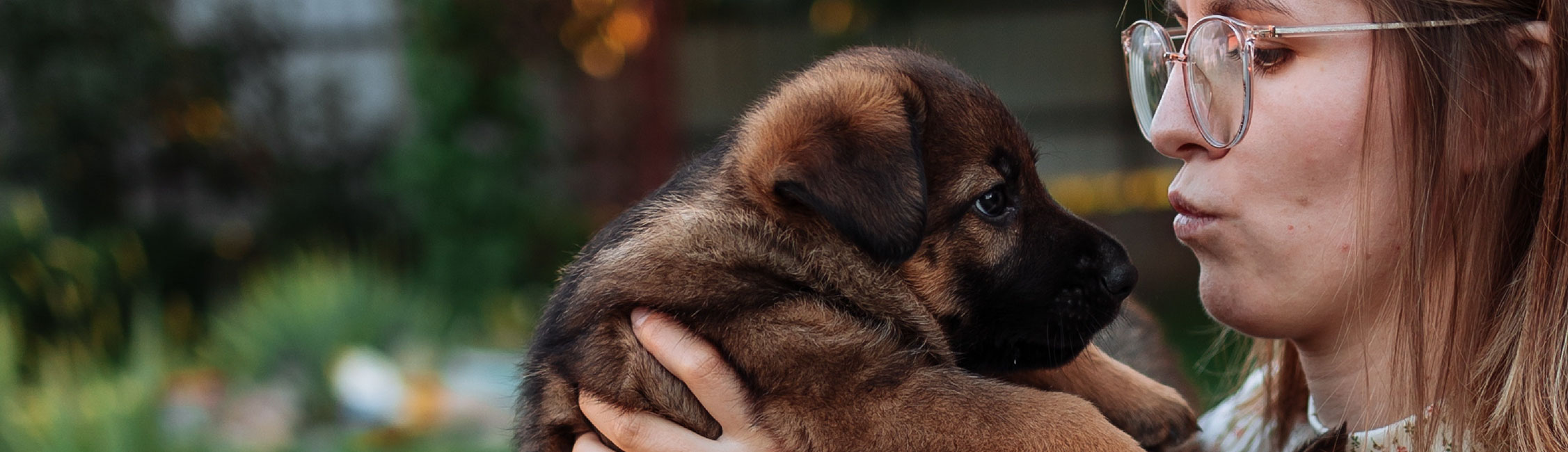 Read more about the article Puppy Socialisation